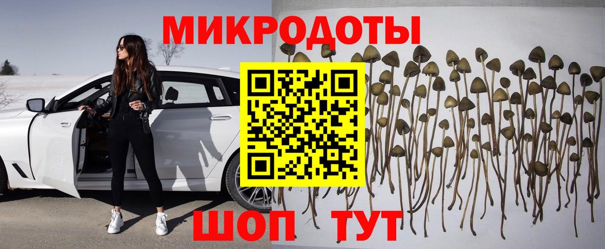 Галлюциногенные грибы MAGIC MUSHROOMS  Вход с VPN  Галлюциногенные грибы мухоморы  Кизляр 